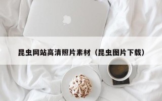 磐石昆虫网站高清照片素材(昆虫图片下载) 磐石昆虫网站高清照片素材(昆虫图片下载)